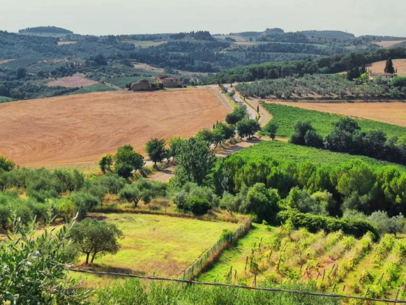 Real Estate Consultancy at Montespertoli